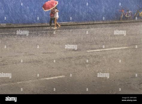 温州雨中探索與深究：城市的雨霓與秘境