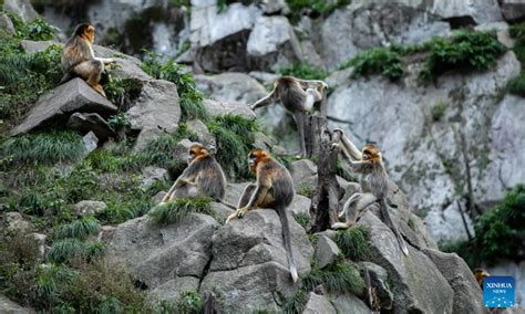 玉合公園怎麼樣 當我們談論玉合公園，總是會不由自主地聯想到它那獨特的設計風格和豐富的文化內涵。